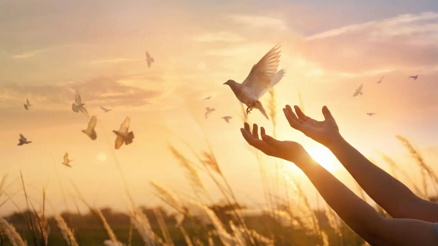 Calm, structured planning support for families in Singapore